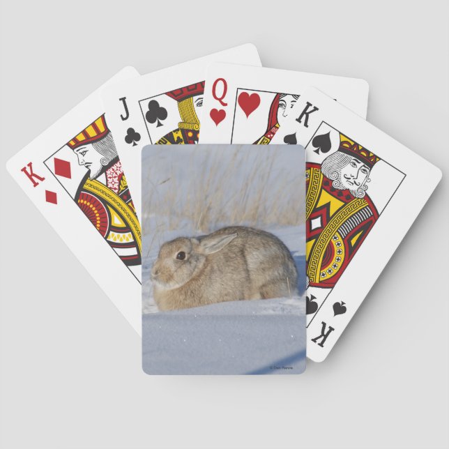 Baraja De Cartas Conejo cola R5 en nieve (Reverso)