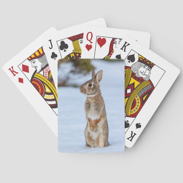 Baraja De Cartas Conejo en la nieve (Reverso)