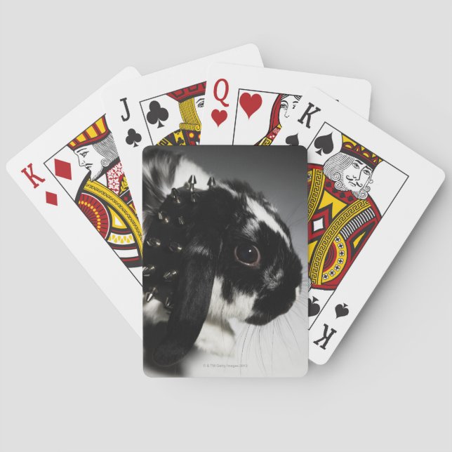 Baraja De Cartas Conejo negro y blanco con collar disecado (Reverso)