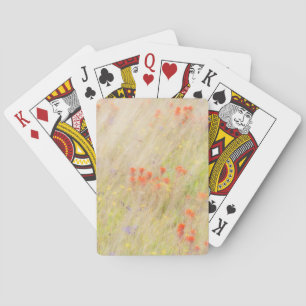 Baraja De Cartas Conservación de la Naturaleza   Islas San Juan, WA
