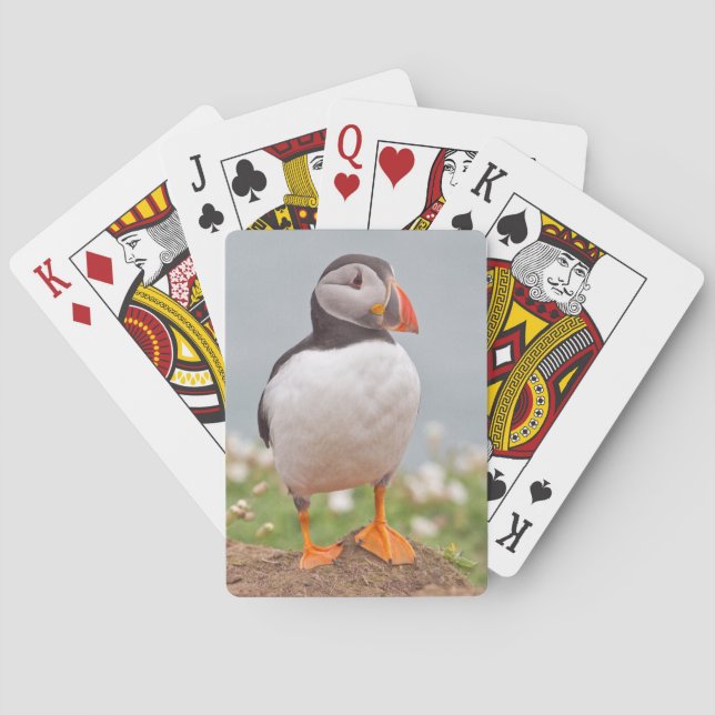 Baraja De Cartas Cool Puffin (Reverso)