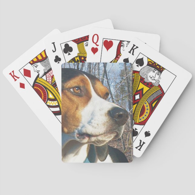 Baraja De Cartas Coonhound del caminante de Treeing en maderas (Reverso)