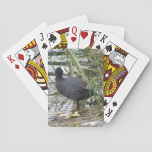 Baraja De Cartas Coot on the Riverbank Playing Cards