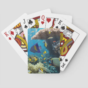 Baraja De Cartas Coral y peces en el Mar Rojo, Egipto