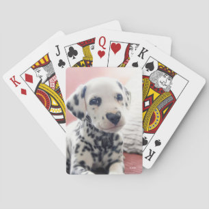 Baraja De Cartas Corazón de Nariz Dálmata