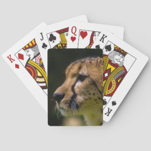 Baraja De Cartas ¡Corazón del guepardo usted!