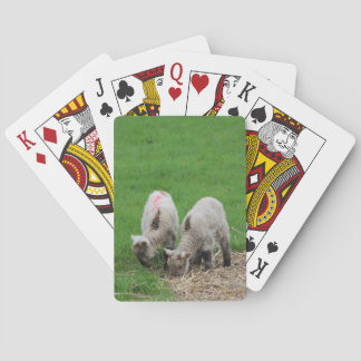 Baraja De Cartas Corderos de la primavera
