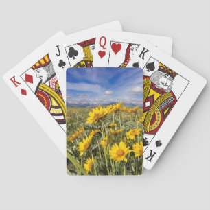 Baraja De Cartas Cordillera frontal de las Montañas Rocosas