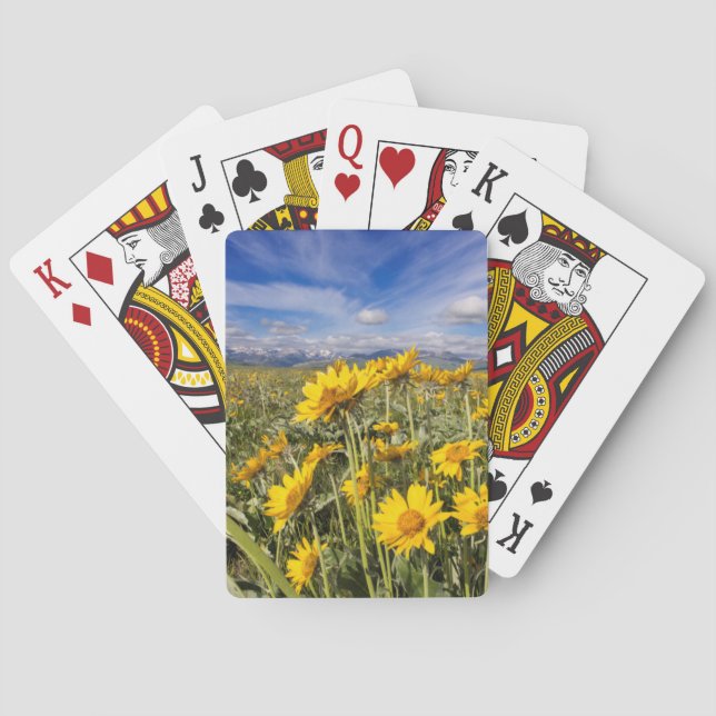 Baraja De Cartas Cordillera Rocky Mountain (Reverso)
