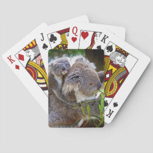 Baraja De Cartas Corta Koalas