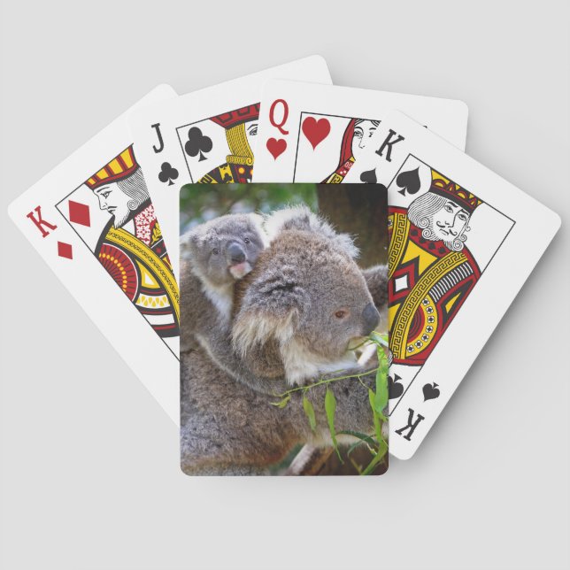 Baraja De Cartas Corta Koalas (Reverso)