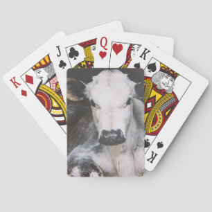 Baraja De Cartas Cosecha ocupada del día