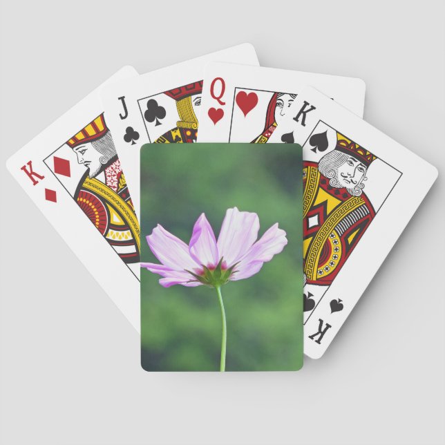 Baraja De Cartas Cosmos (Reverso)