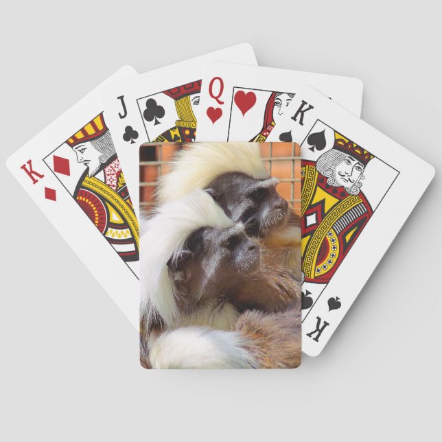 BARAJA DE CARTAS COTTON-TOP TAMARIN MONKEYS (Reverso)