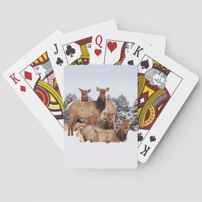 Baraja De Cartas Cow Elk Bicycle Playing Cards (Reverso)