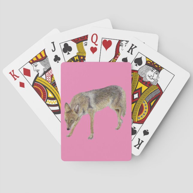 Baraja De Cartas Coyote (Reverso)