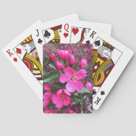 Baraja De Cartas Crabapple de floración rosa