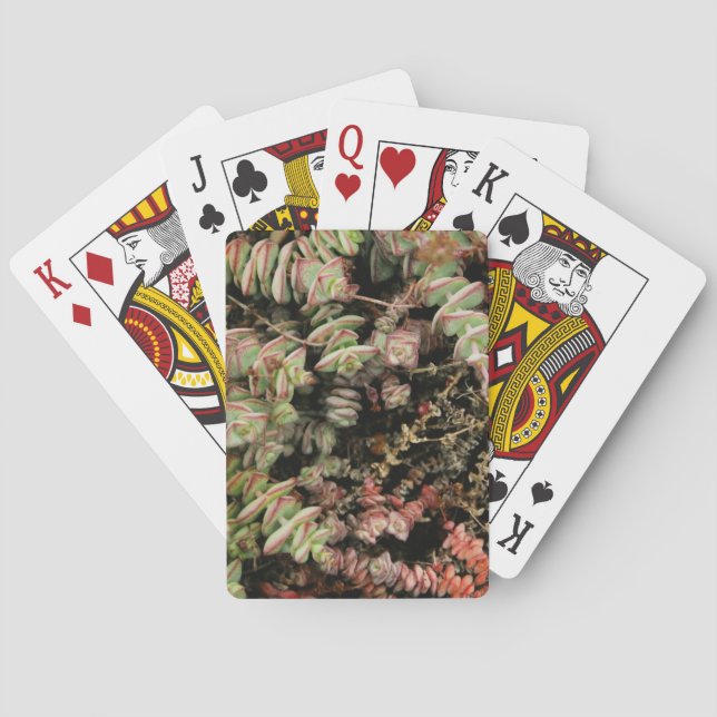 Baraja De Cartas Crassula perforata (Reverso)