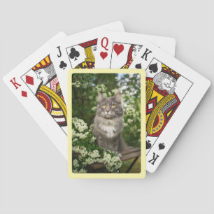 Baraja De Cartas Crea tu propia foto con borde de crema