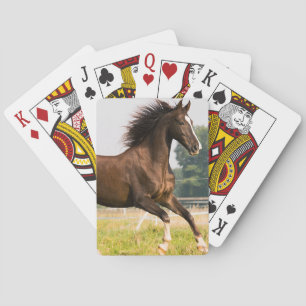 Baraja De Cartas Crea tu propia foto de caballo de mascota personal