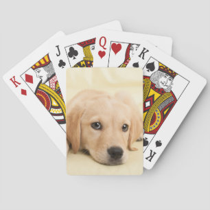 Baraja De Cartas Crea tu propia foto personalizada de tu mascota
