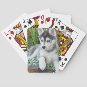 Baraja De Cartas Crea tu propia foto personalizada de tu mascota