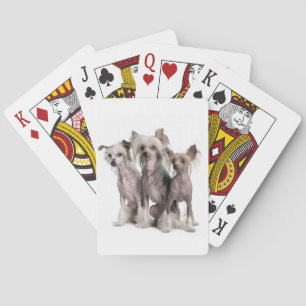 Baraja De Cartas Creste chino