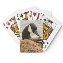 Cría de ganso de Canadá en el lago