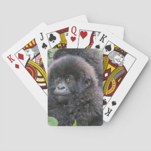 Baraja De Cartas Cría de gorila de montaña