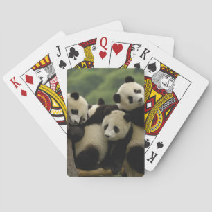Baraja De Cartas Crías de panda gigante (Ailuropoda melanoleuca)