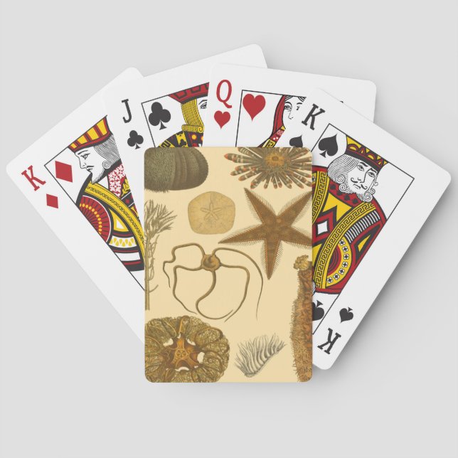 Baraja De Cartas Criaturas submarinas (Reverso)