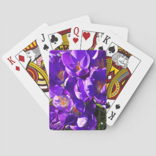 BARAJA DE CARTAS CROCUS DE PRIMAVERA