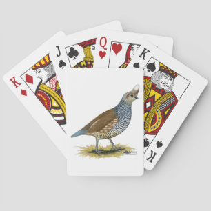 Baraja De Cartas Cual escalada