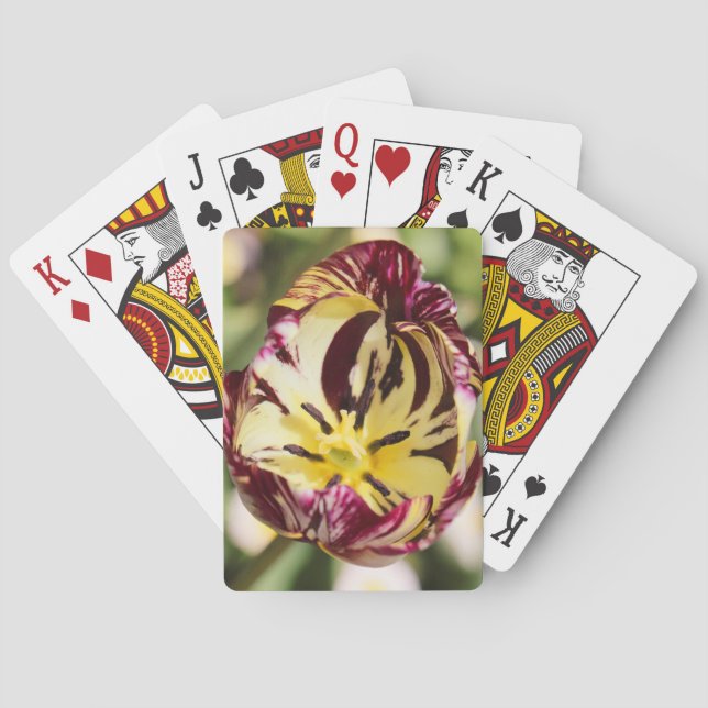 Baraja De Cartas Cuando Usas Un Tulipán (Reverso)