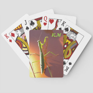 Baraja De Cartas Cubierta de la mantis religiosa