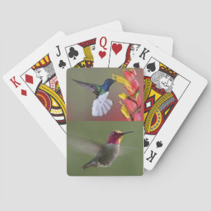 Baraja De Cartas Cubierta de los colibríes de tarjetas