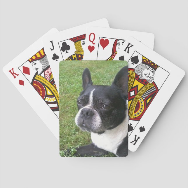 Baraja De Cartas cubierta de naipes, con el terrier de Boston (Reverso)