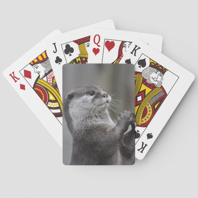 Baraja De Cartas Cubierta del genio de la nutria de tarjetas (Reverso)