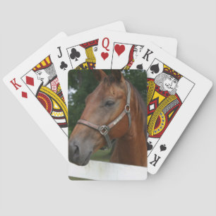 Baraja De Cartas Cubierta dulce de castañas para caballos