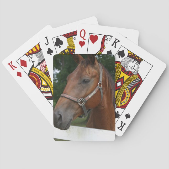 Baraja De Cartas Cubierta dulce de castañas para caballos (Reverso)