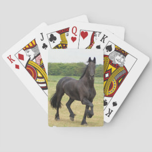 Baraja De Cartas Cubierta frisia del caballo de tarjetas
