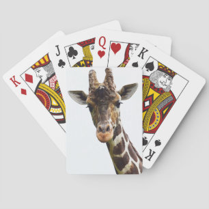 Baraja De Cartas Cubierta gigantesca de cartones