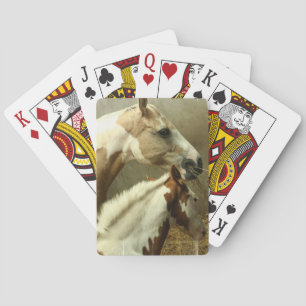 Baraja De Cartas Cubierta gris del caballo de Eventing de tarjetas