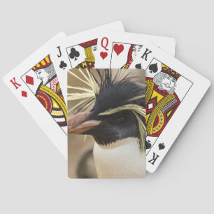 Baraja De Cartas Cubierta pingüino de Rockhopper