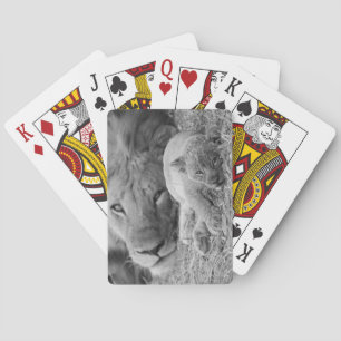 Baraja De Cartas Cubo de león lindo descansando con padre