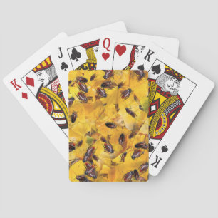 Baraja De Cartas Cucarachas