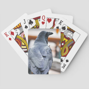 Baraja De Cartas Cuervos
