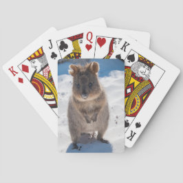 Baraja De Cartas Cuidada y feliz quokka en la playa de Australia