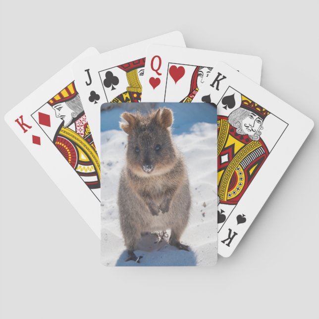 Baraja De Cartas Cuidada y feliz quokka en la playa de Australia (Reverso)