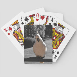Baraja De Cartas Curiosa Cacatúa Crestada de Azufre